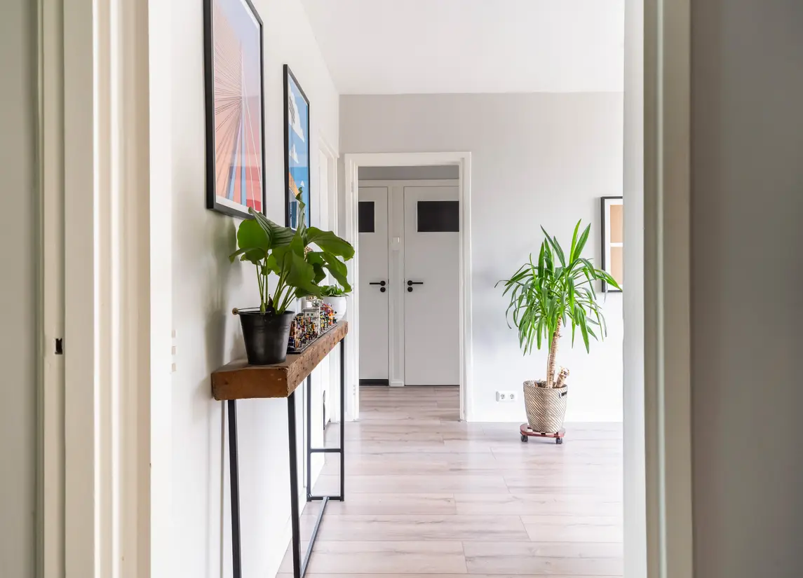 Pieter de Hoochstraat 36