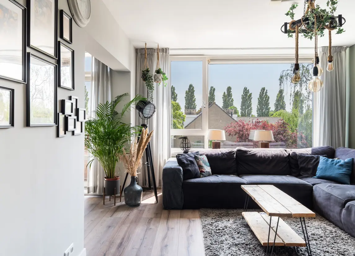 Pieter de Hoochstraat 36