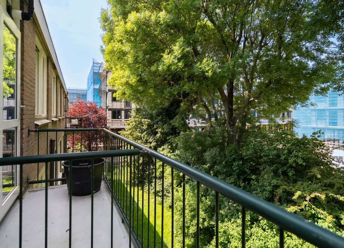 Pieter de Hoochstraat 36