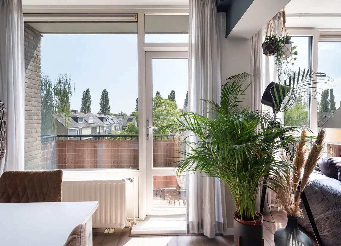 Pieter de Hoochstraat 36