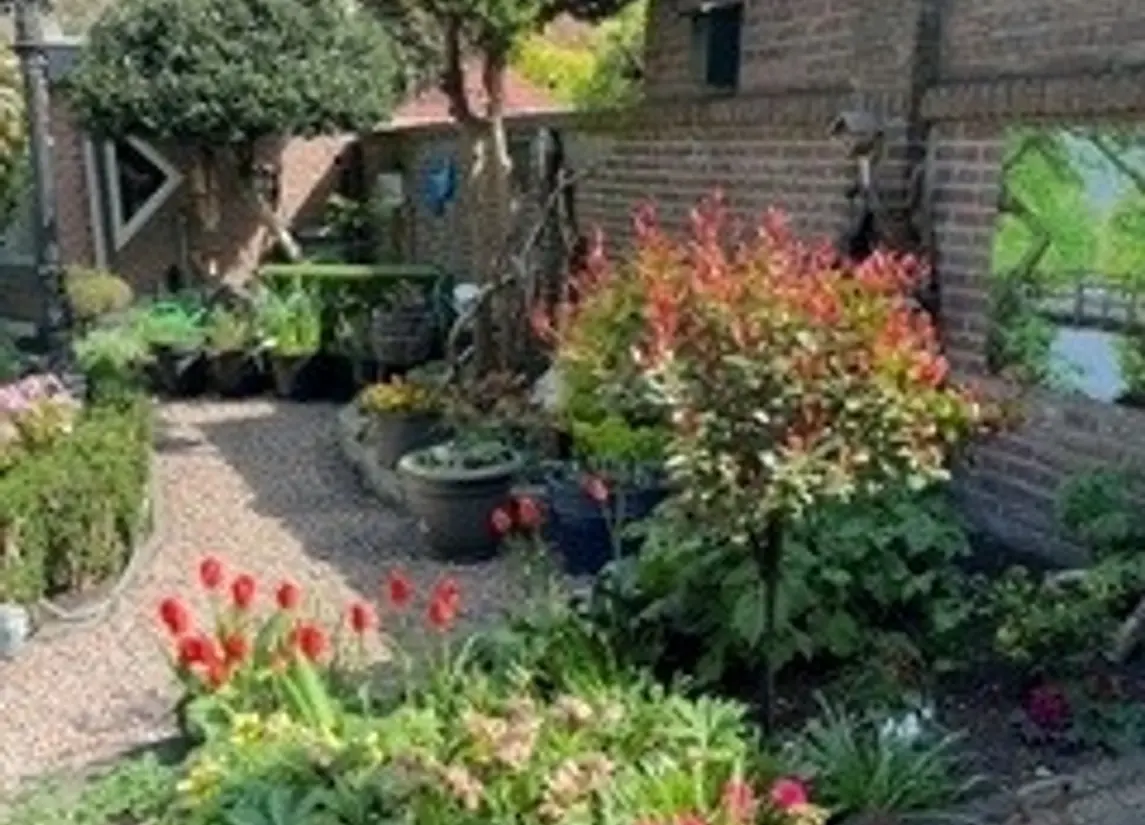Leersumstraat 92