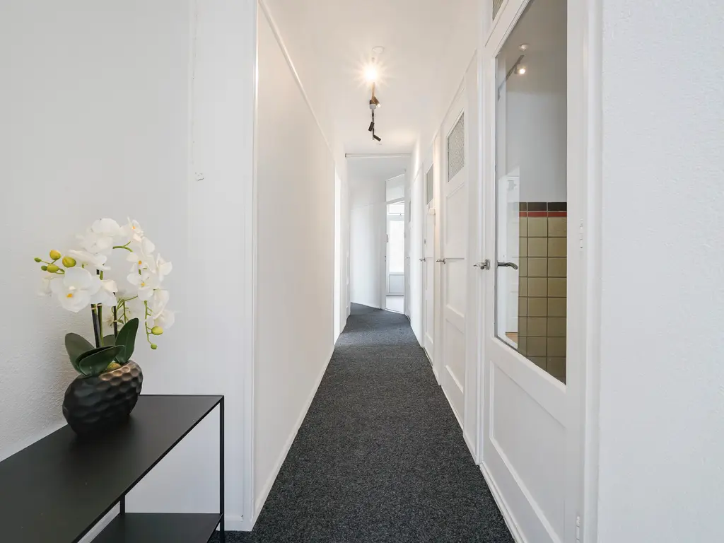Soestdijksekade 329, Den Haag