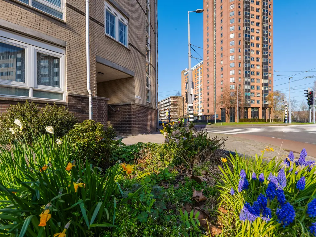 Goudse Rijweg 269, ROTTERDAM