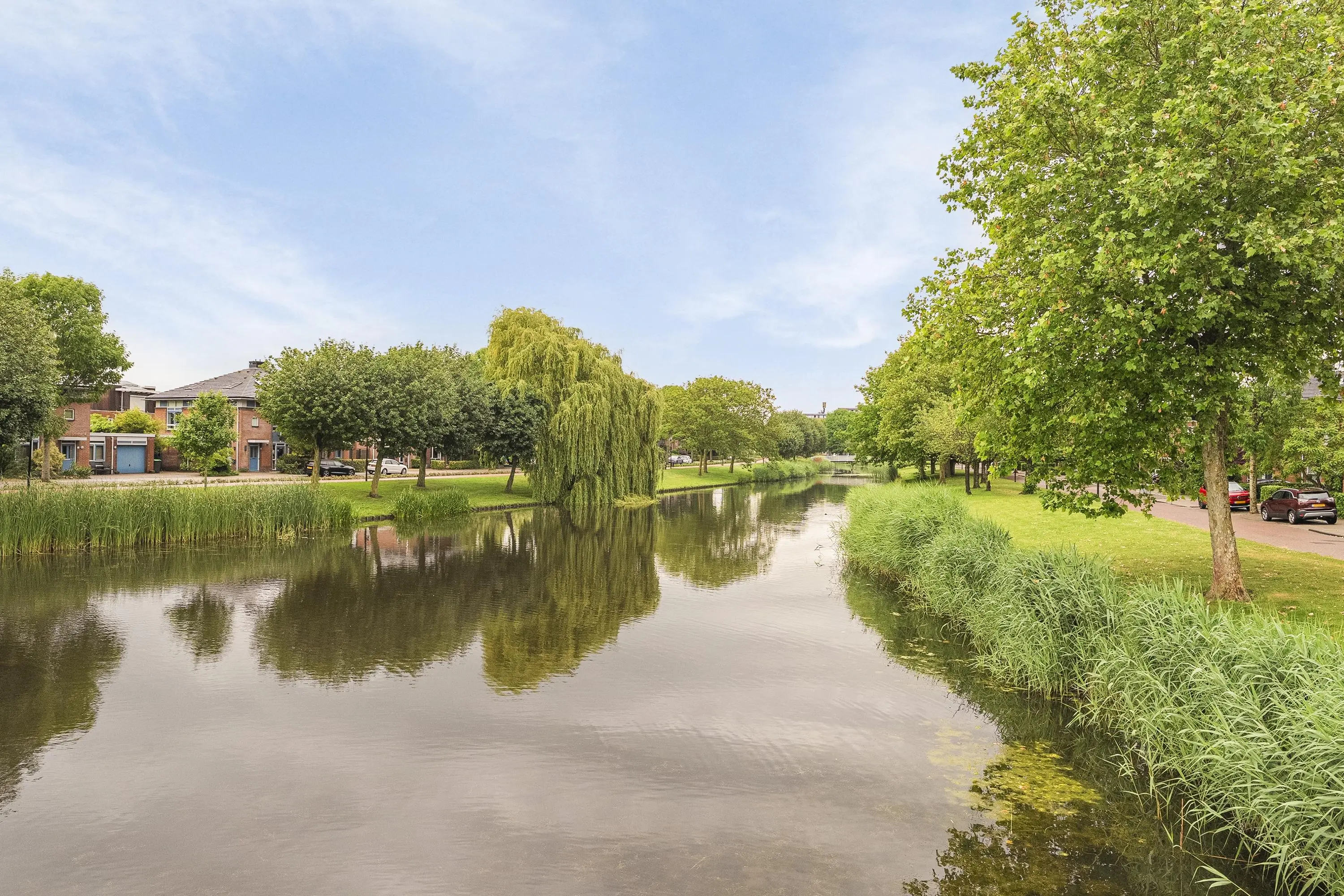 Randmeer 45