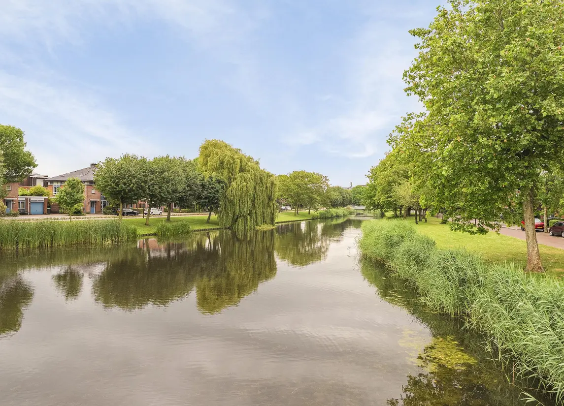 Randmeer 45