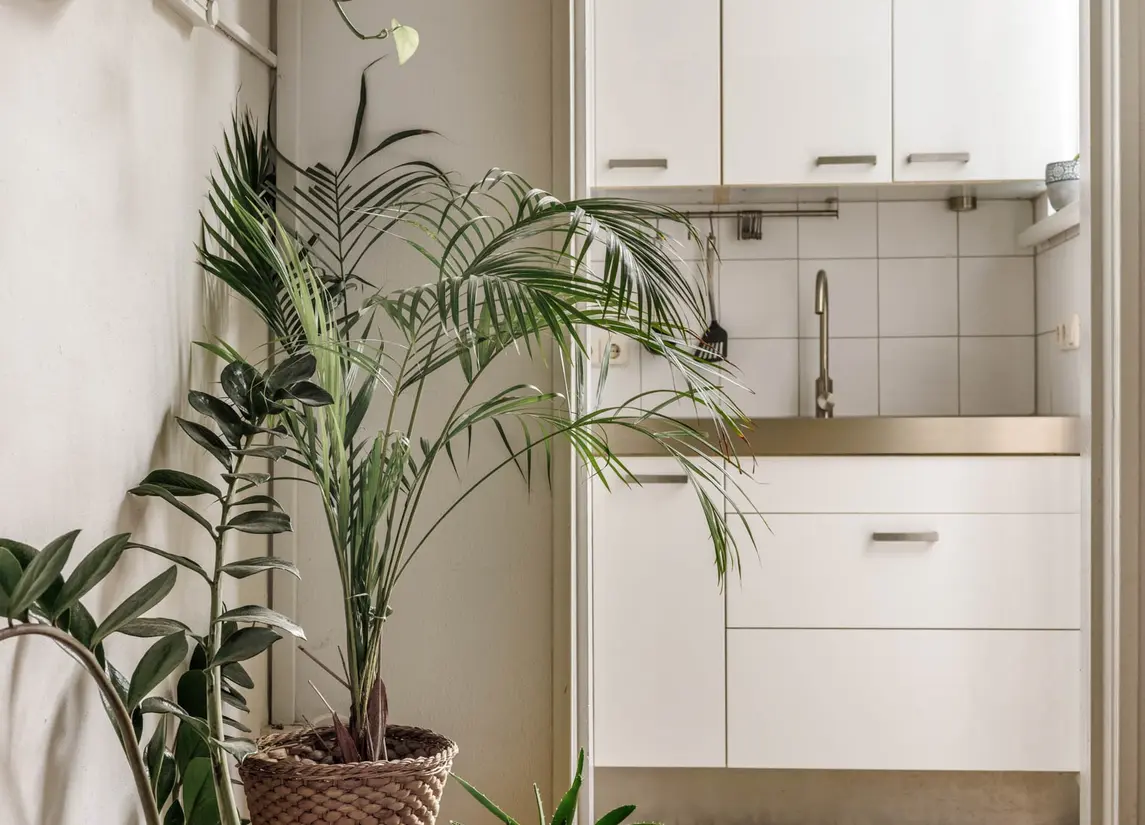 Paul Krugerstraat 9