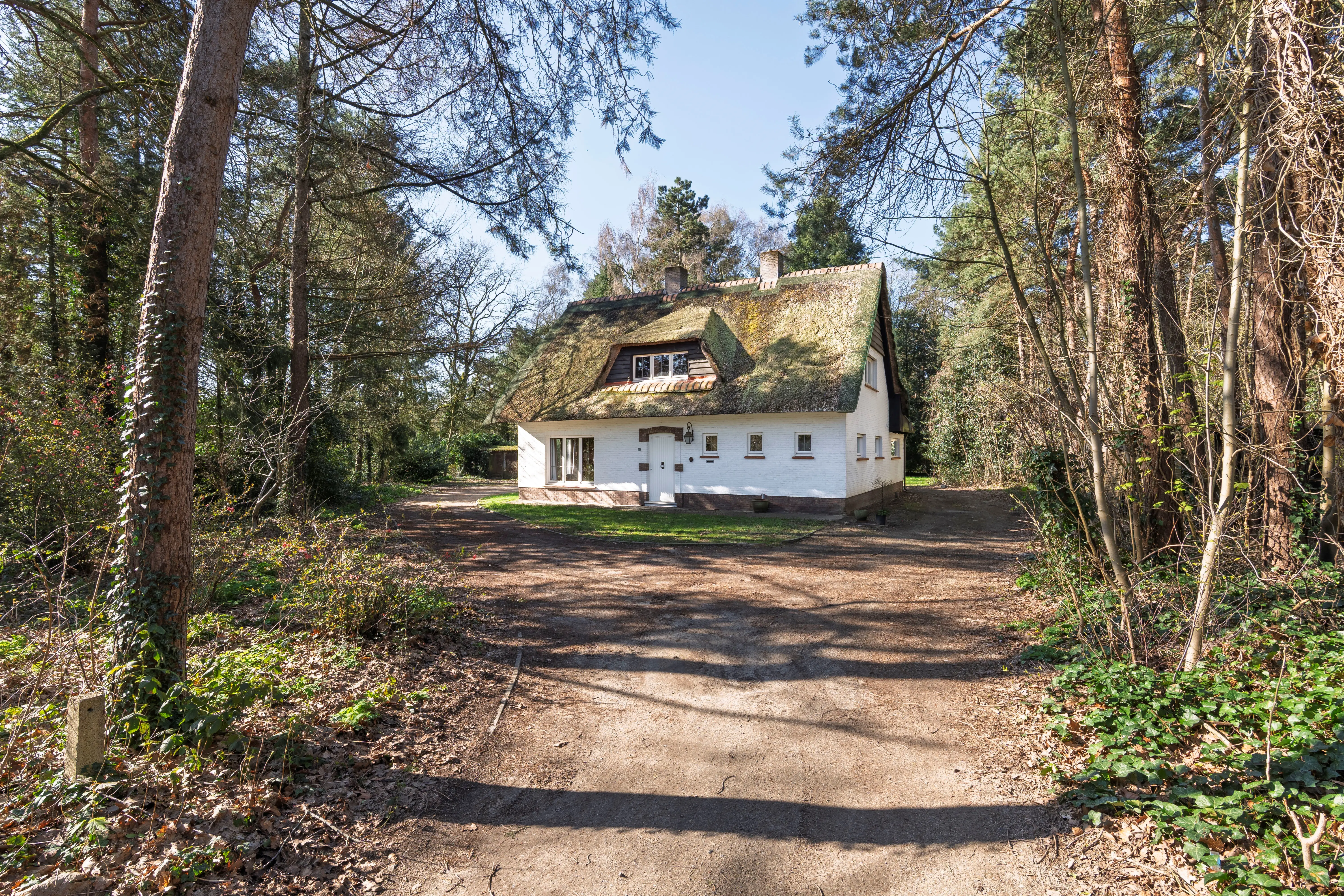 Brandstraat 145  