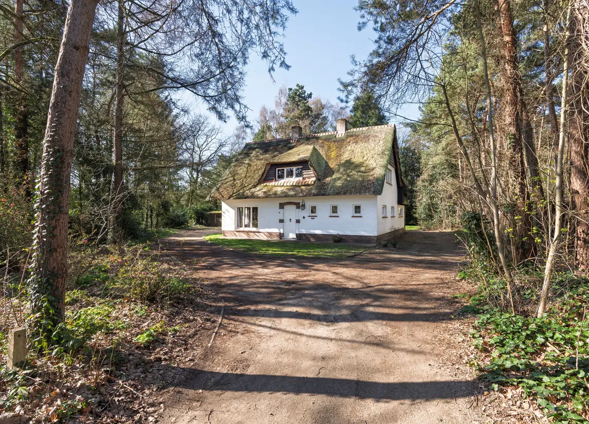 Brandstraat 145