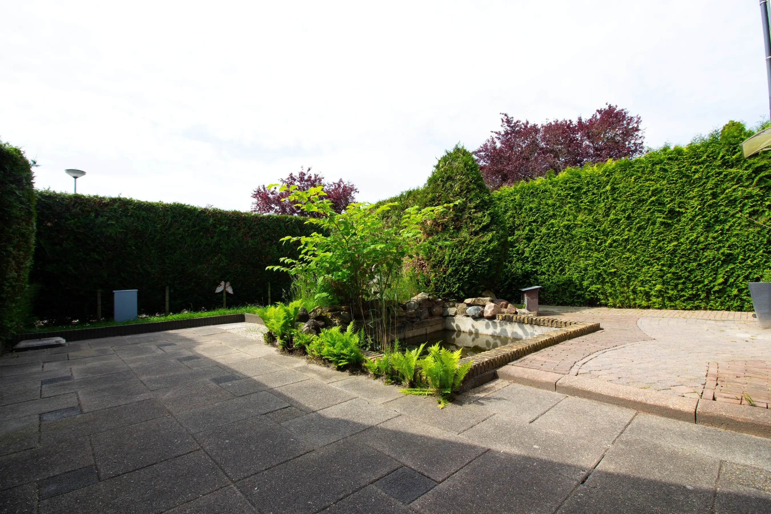 Pandhof 51
