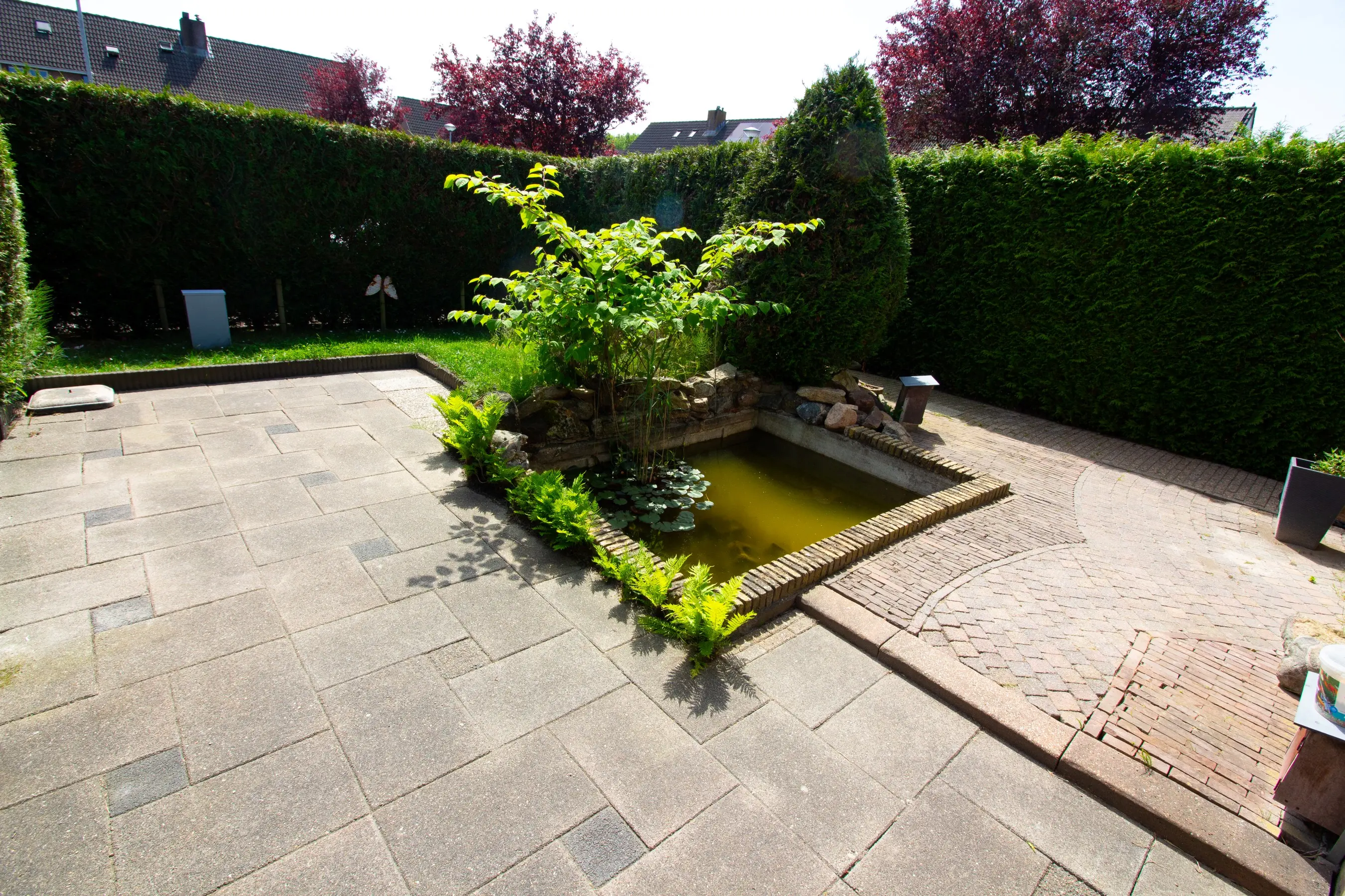 Pandhof 51