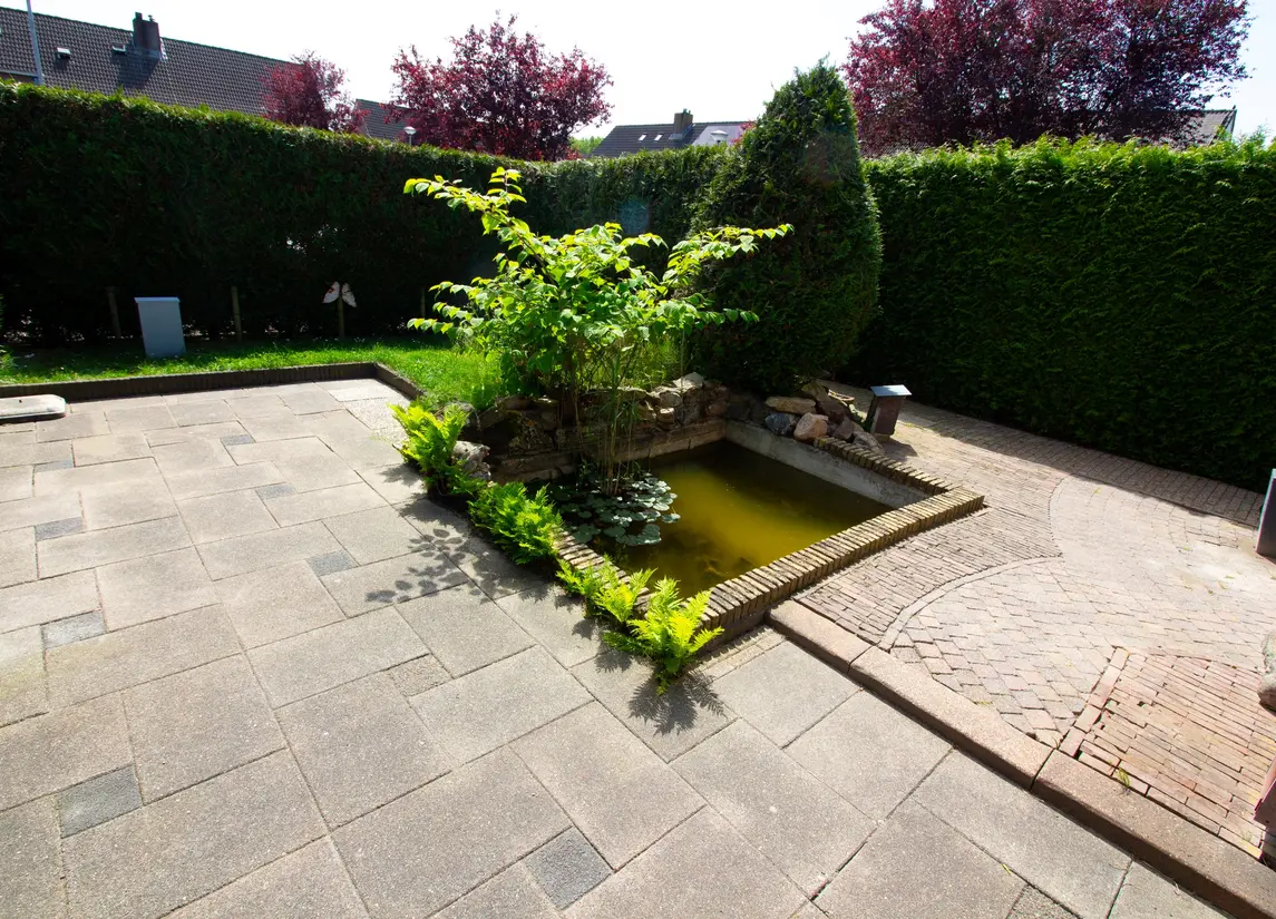 Pandhof 51