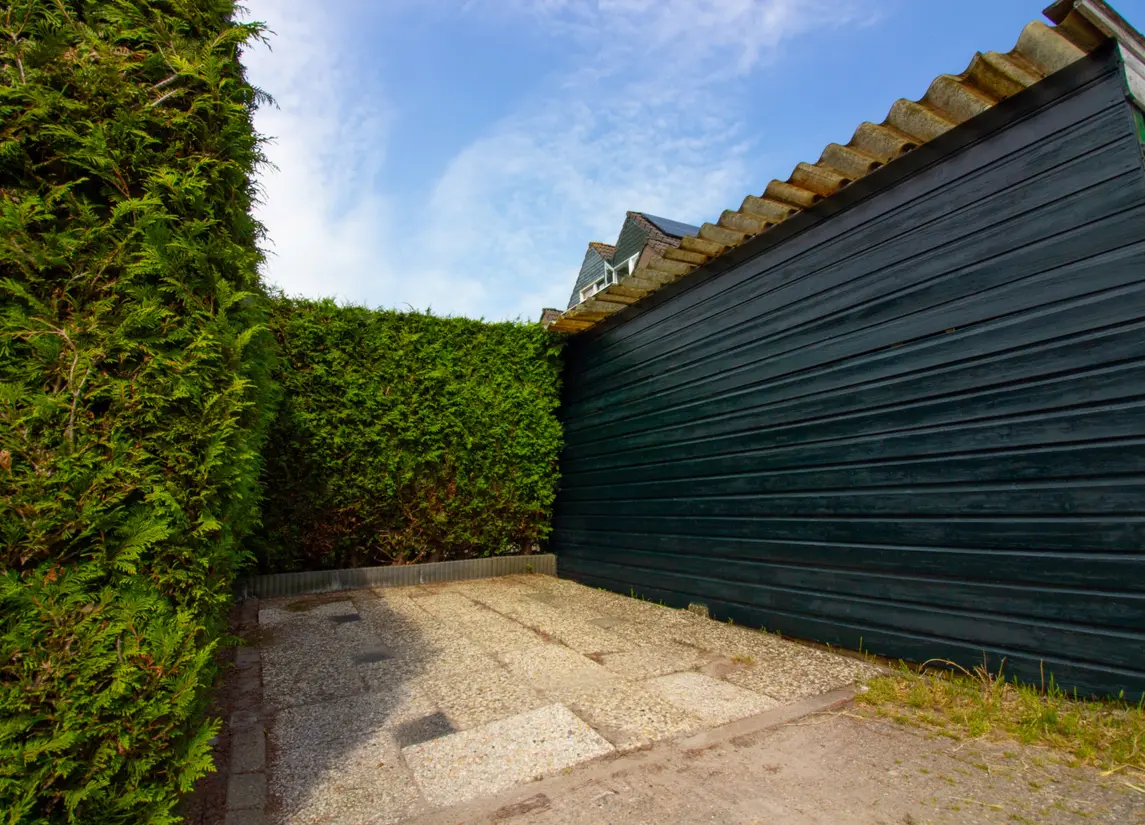 Pandhof 51