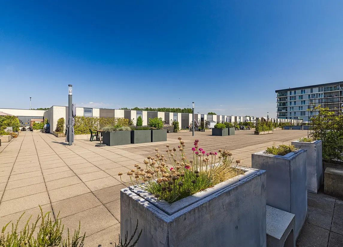 Dalempromenade 12