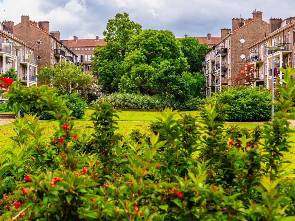 Johan de Meesterstraat 24B, ROTTERDAM