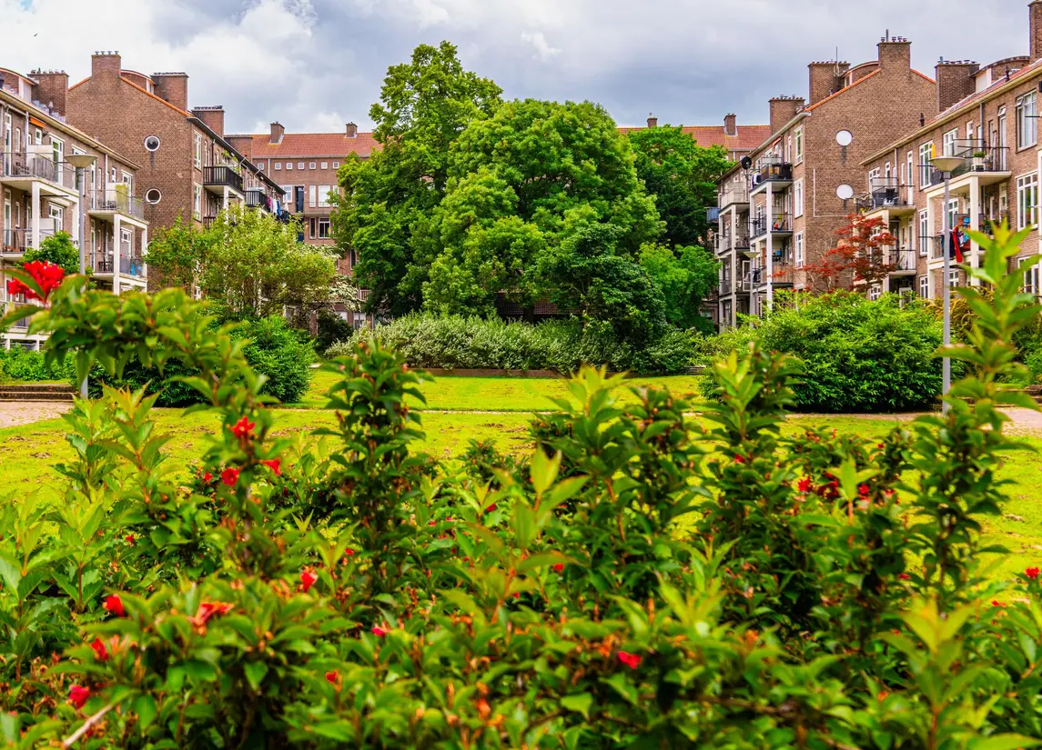 Johan de Meesterstraat 24B
