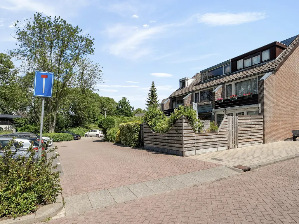 De Kastanje 3, RHOON