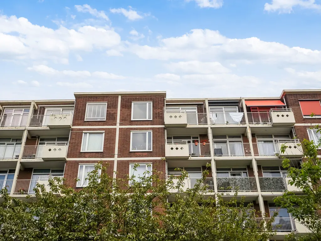 Ranonkelstraat 267, Den Haag