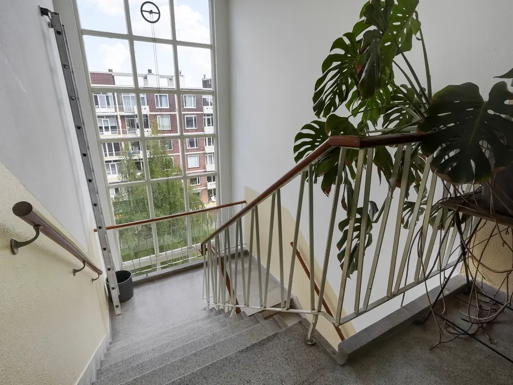 Ranonkelstraat 267, Den Haag