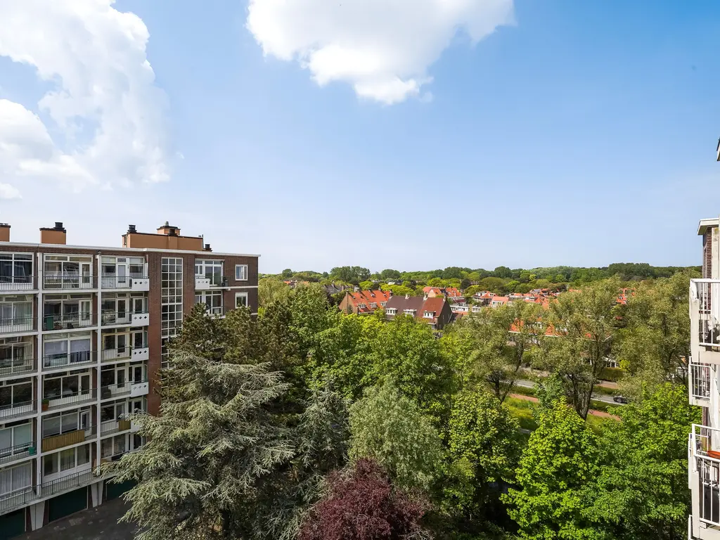 Ranonkelstraat 267, Den Haag