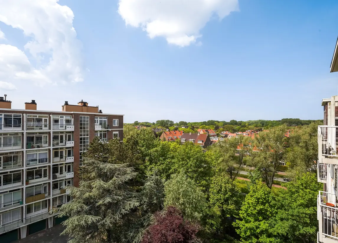 Ranonkelstraat 267