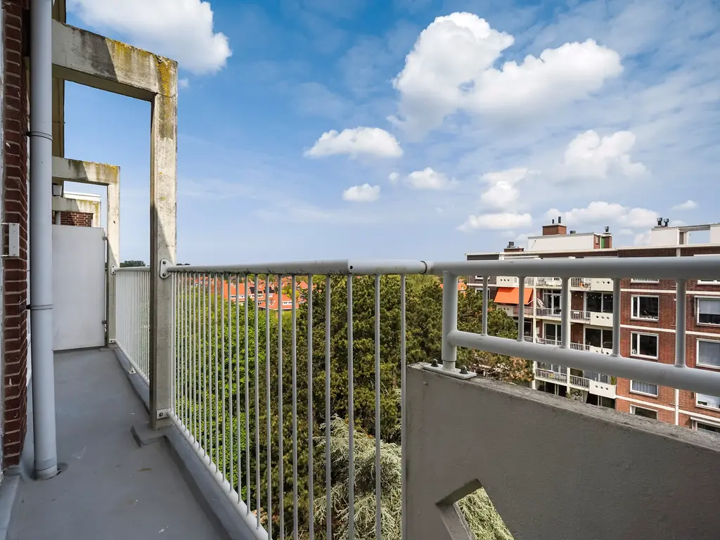 Ranonkelstraat 267, Den Haag