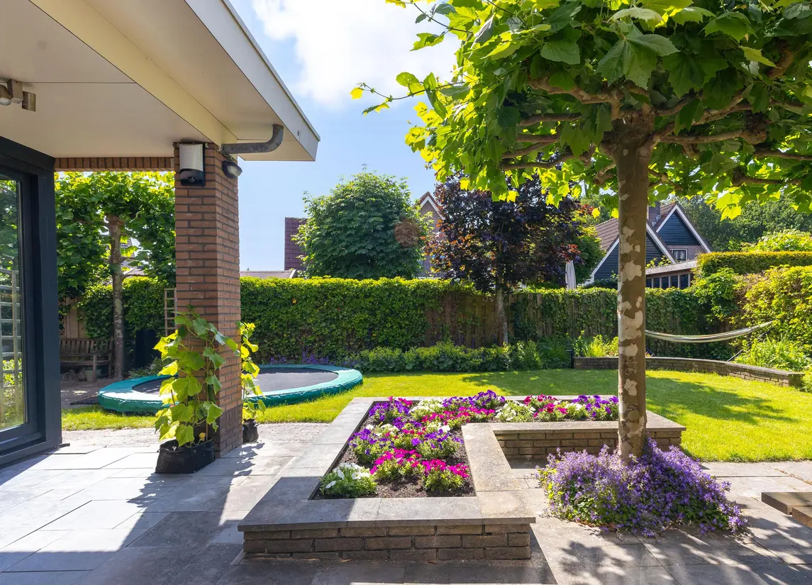Bertus Aafjeshof 142