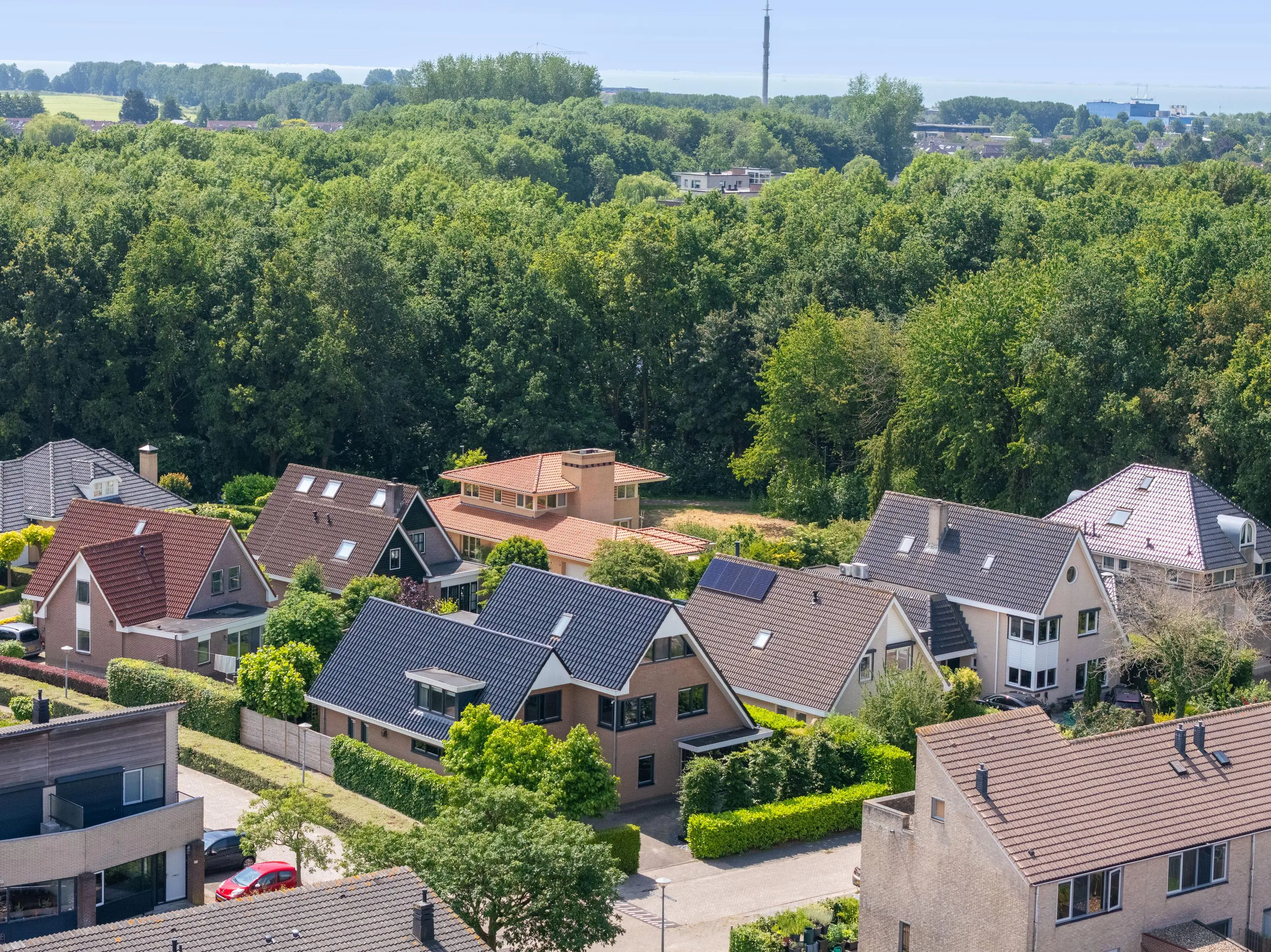 Bertus Aafjeshof 142