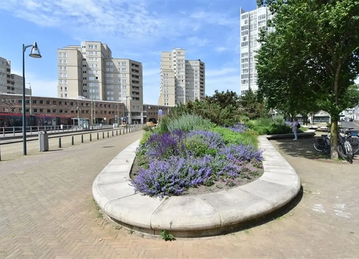Palaceplein 19