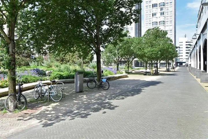 Palaceplein 19