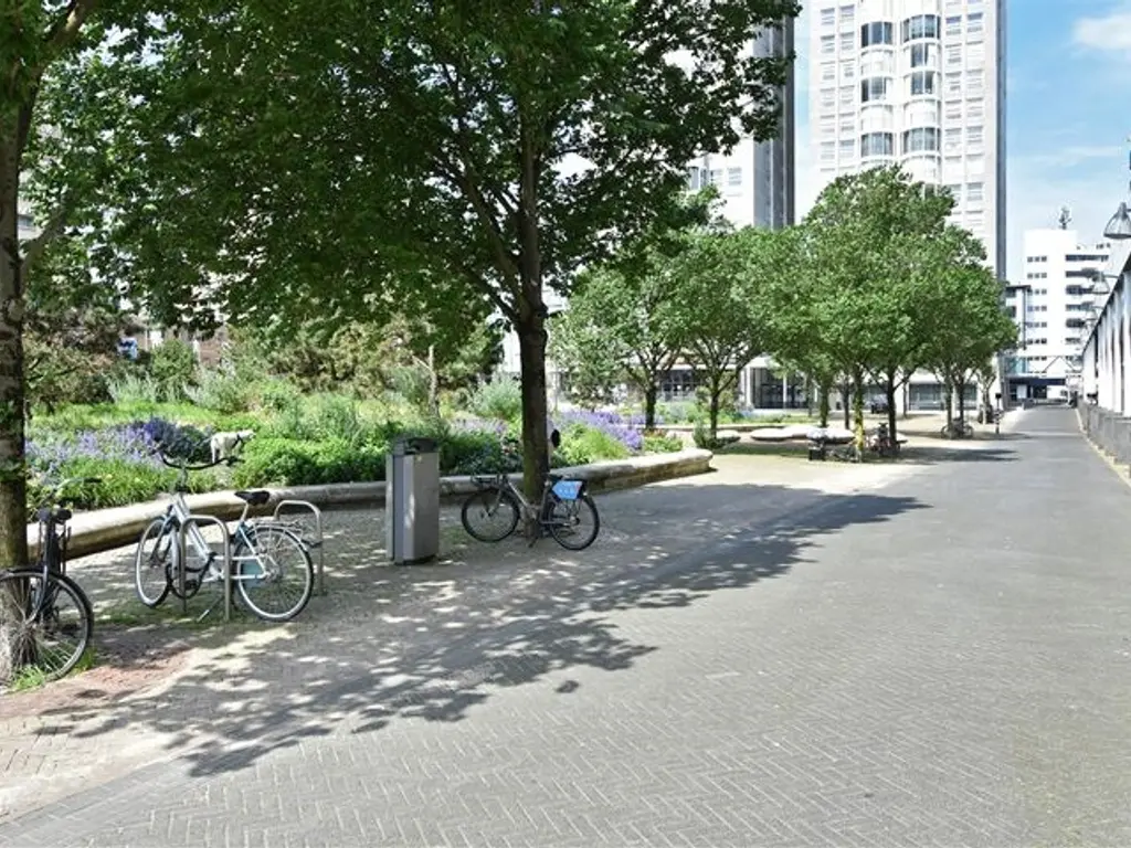 Palaceplein 19, Den Haag