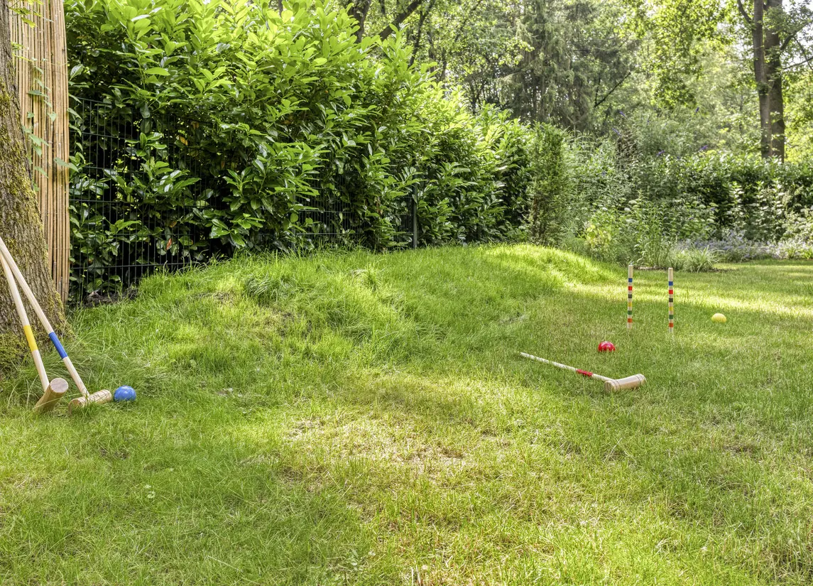 De Stille Wille 29