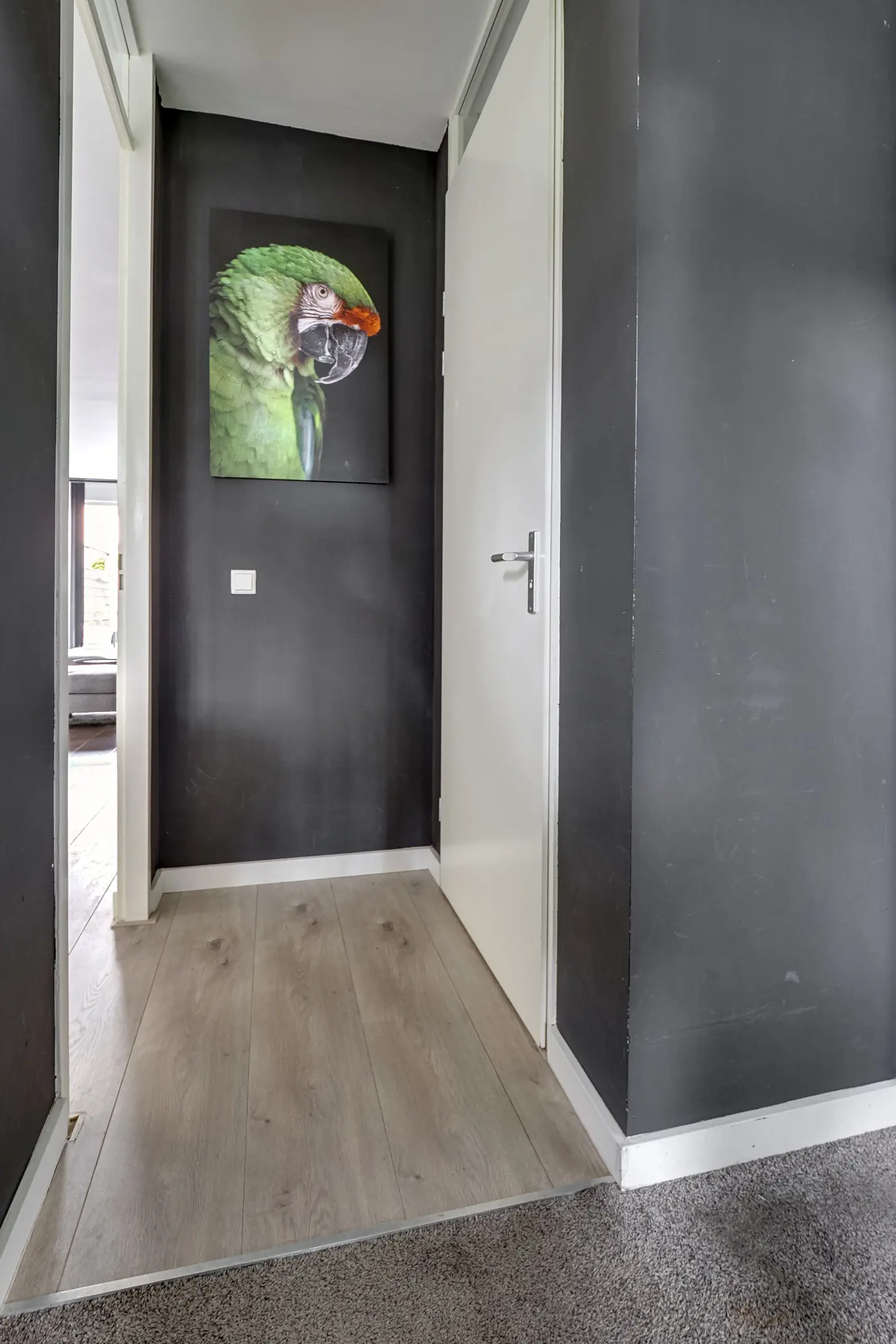 Kokardebloemlaan 7