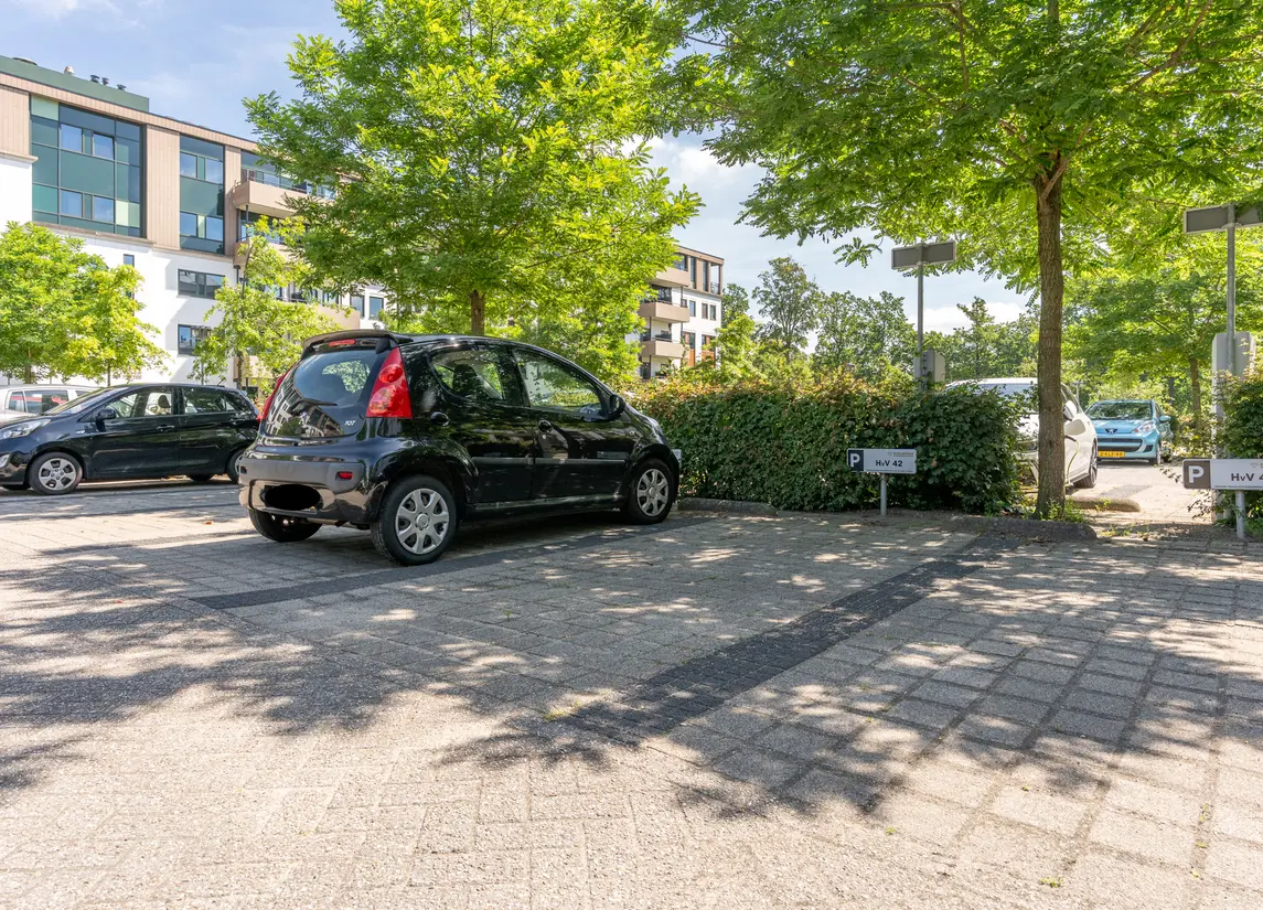 Hof van Vronestein 42
