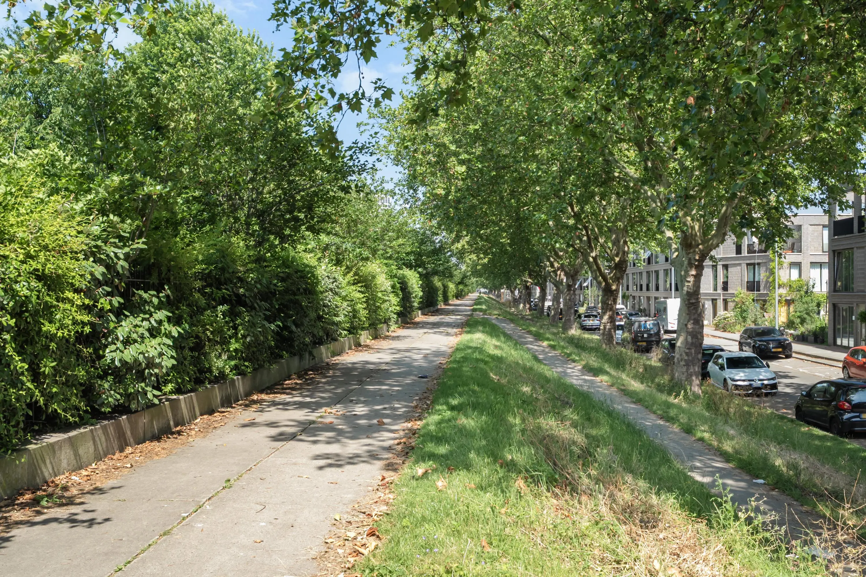 Catharina Beersmansstraat 110