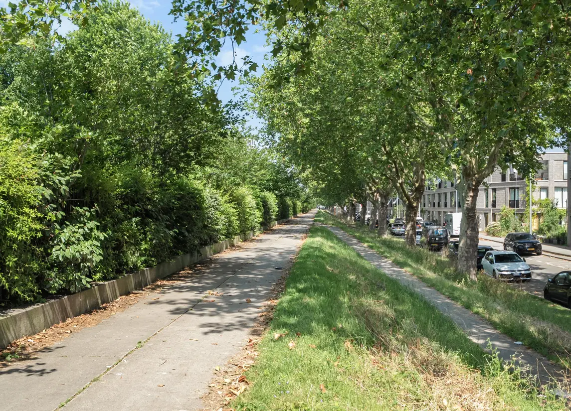Catharina Beersmansstraat 110