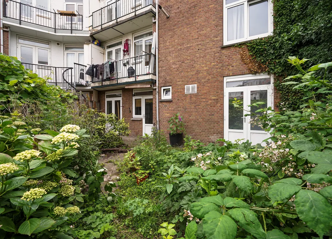 Rosseelsstraat 105