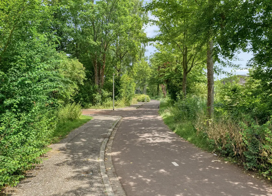 Maasstraat 10