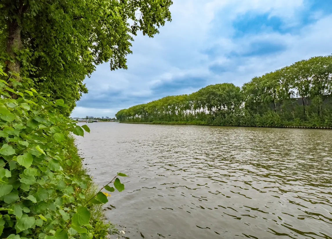 Amsterdamsestraatweg 909
