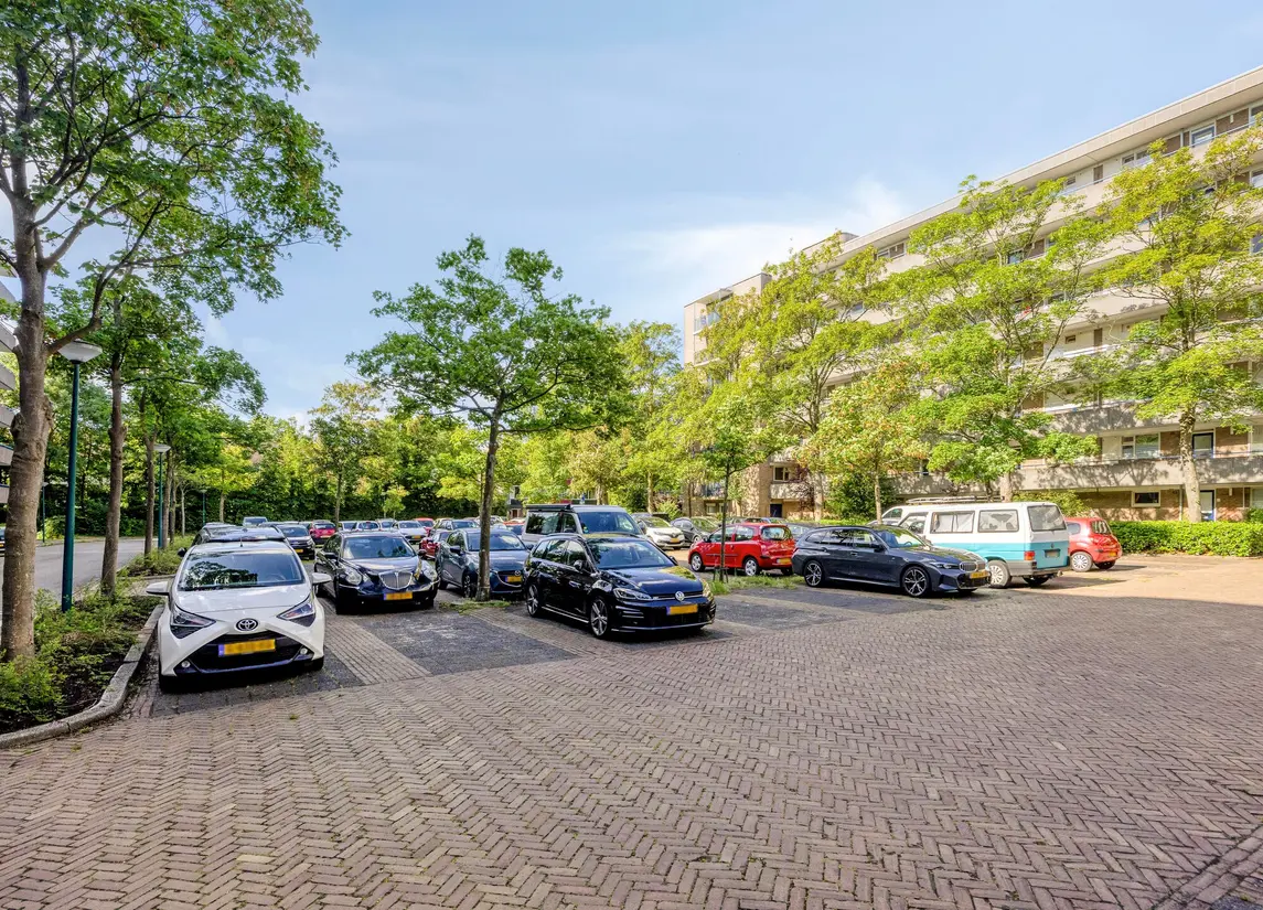 Aert van Neslaan 411