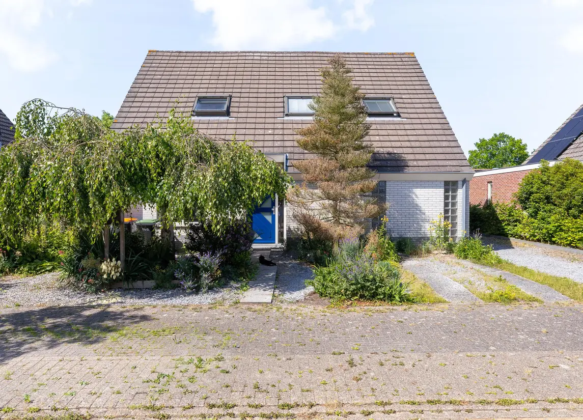 Koperwiek 4