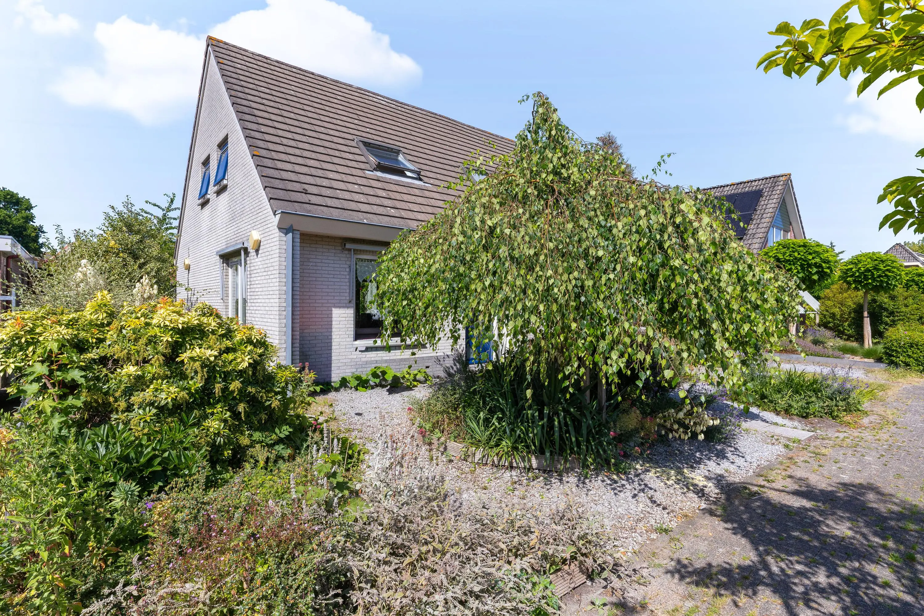 Koperwiek 4