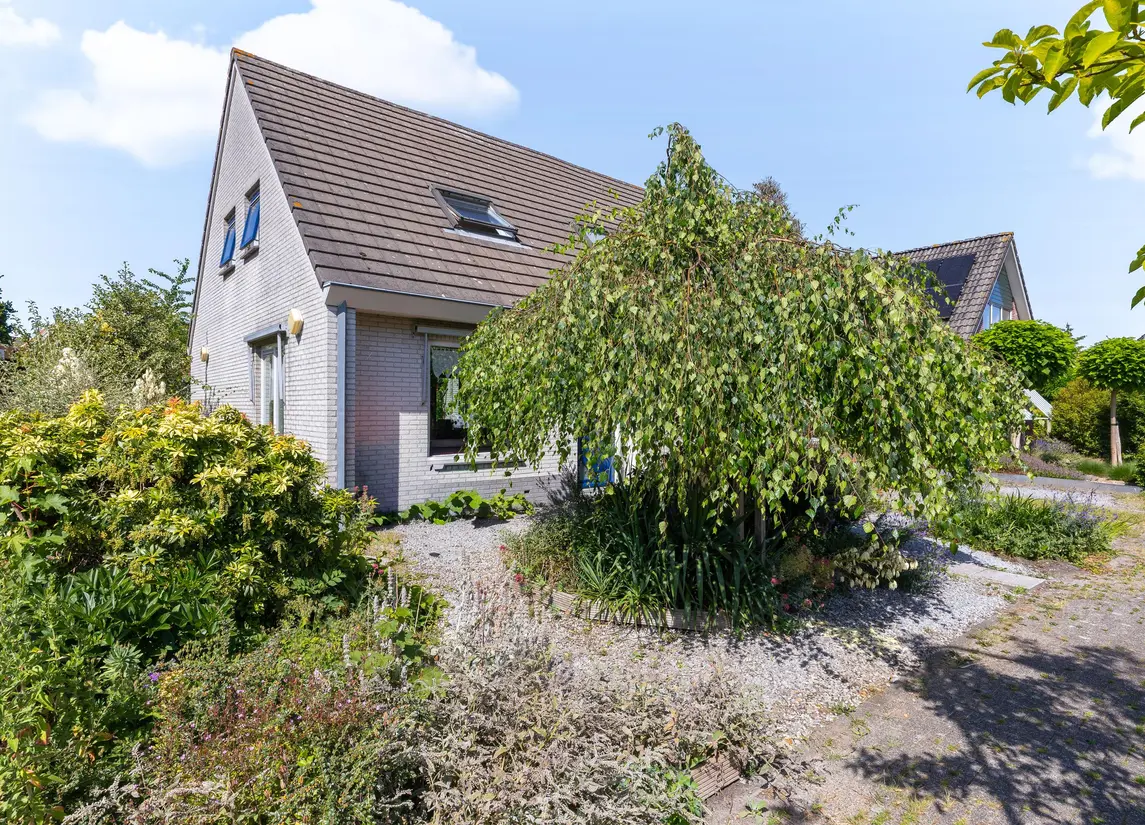 Koperwiek 4