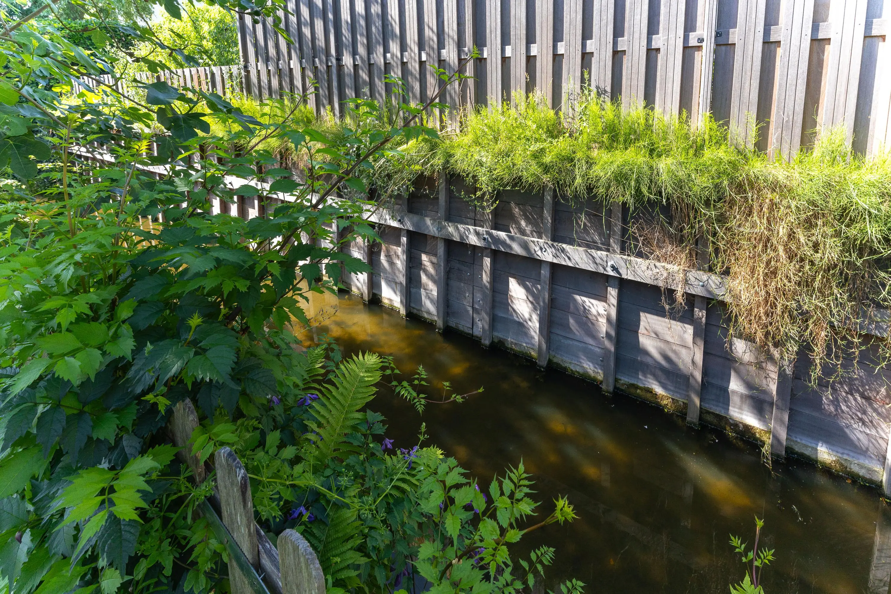 Koperwiek 4