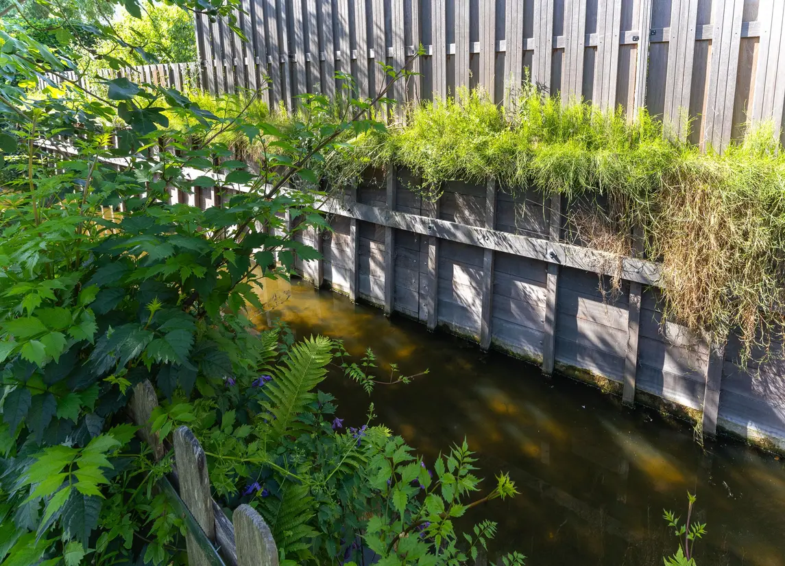 Koperwiek 4