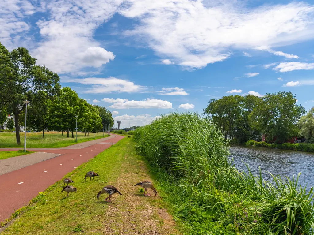 Hoornweg 31C, ROTTERDAM