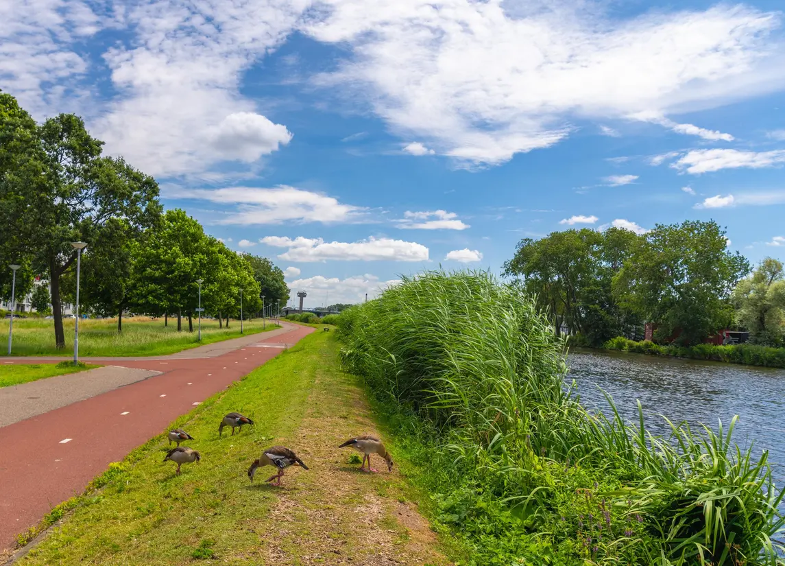 Hoornweg 31C