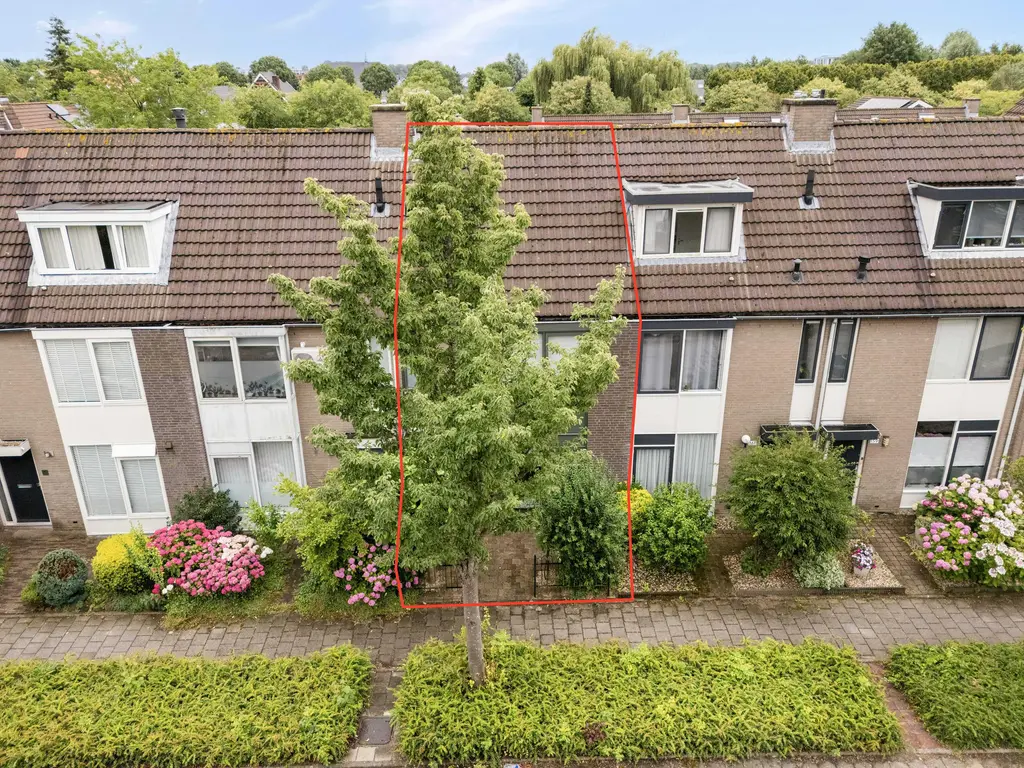 Torenmolen 163, BARENDRECHT