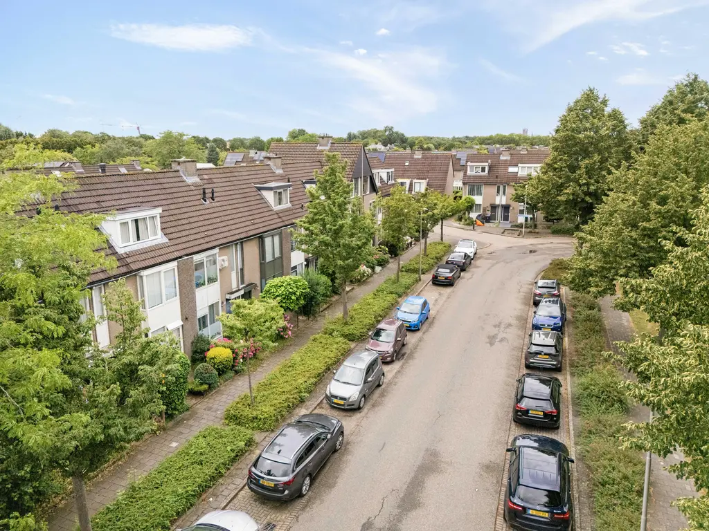 Torenmolen 163, BARENDRECHT