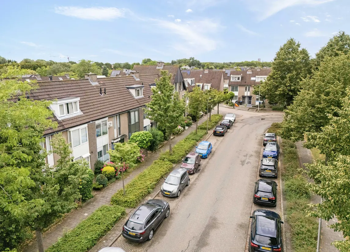 Torenmolen 163