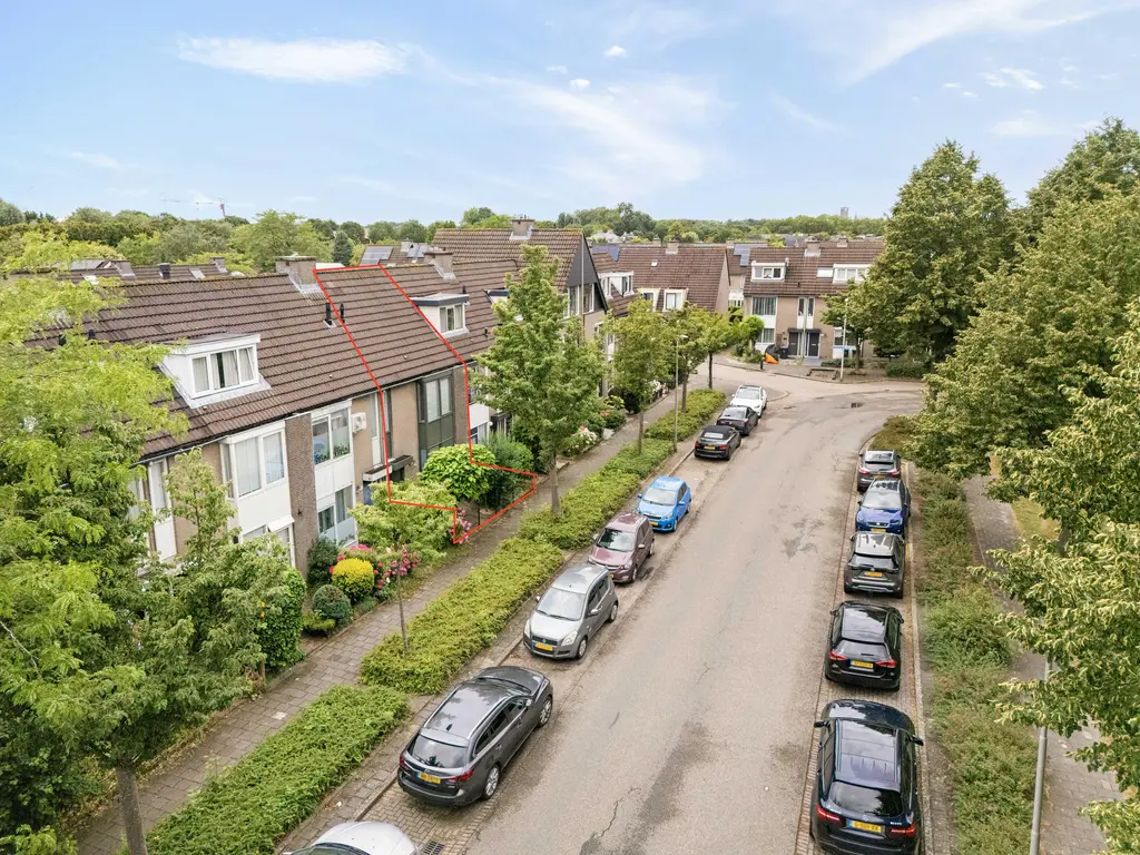 Torenmolen 163, BARENDRECHT
